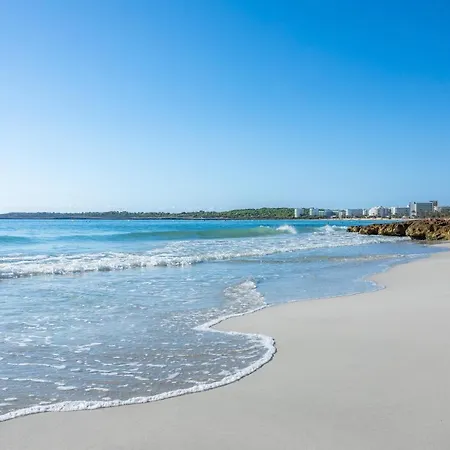 Apto Con Terraza 303