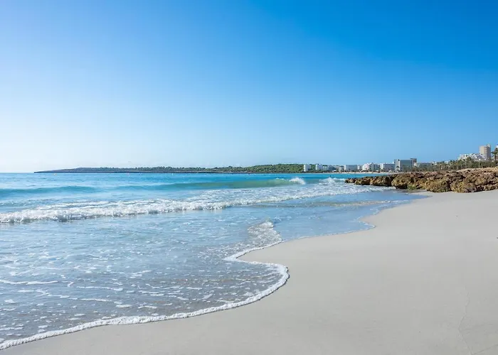 Apto Con Terraza 303